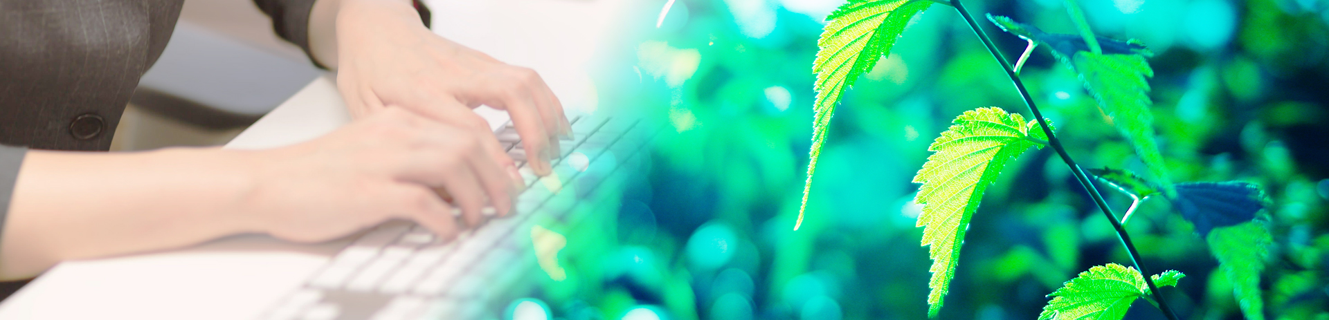 news header